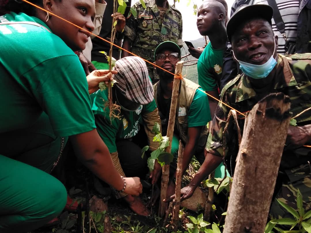 Reboisement : l’ONG Cipad Guinée compte reboiser 3400 hectares à Bondabon