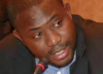 Propositions pour un système démocratique plus inclusif en Guinée      [Tribune de Kemoko Camara]