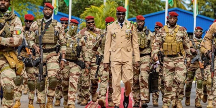 CEDEAO-Niger : vers une implication militaire de la Guinée ?